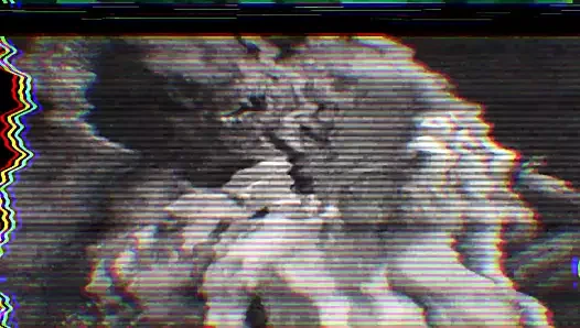 Sfm hmv pmv alfa ve omega