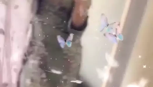 Randi bebek cesaret istiyor