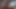 Zenci kadın fışkırtarak kraliçenin yatak odası orgazmı: ateşli koyu huylu xxx porno!