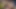 Reality kings - luna luxe ve keisha grey Parker Ambrose'un inek yarağı için kaptanı terk ediyor