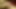 travesti kız öğrenciler