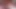 Anjelica ve diosa vardır iki dik travestiler kahrolası her diğer
