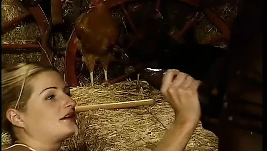 Çeşitli sanatçılar - samanlıkta ev gibi