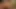 Sweetsusinrw: Die geilen Leck und Dildo Fotzen