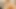 Bustygizelle web cam gösteri çıplak seks seksi çılgın kadın 2019