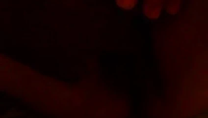 Büyük Tayland kedi