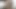 Cutiepie riley reid içinde şehvetli oturum ile gizli sevgilisi