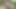 Horny German Girl masturbates in the middle of the jungle (Risky JOI)