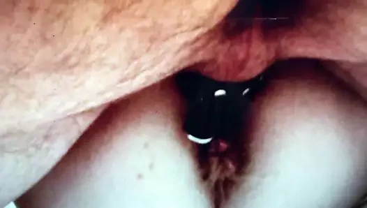 kedi topları evet kedi içinde!