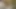 Robyn inatçı oluyor