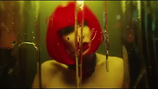 Anka kuşu marie pmv