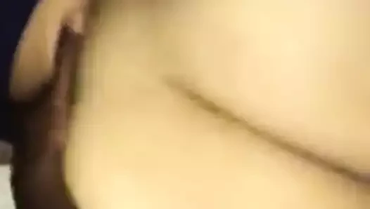 Latin domaltmalı büyük zenci