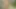 İki Alman bayanın her iki delikten sikilmesini izle