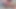Porno oyuncusu olmak isteyen bir sıcak ev hanımını seçmek