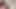 Orta yaşlı seksi kadın oda arkadaşları büyük zenci yarağıyla sikişiyor - bölüm 2