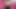 JOI ROLEPLAY- PR! M4 ass sucks hot and asks for cum in pussy/virtual 💦 sex /ASMR/POV