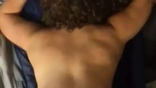 Latin domaltmalı büyük zenci