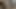 Omapass, amatör olgunlaşır porno yıldızı olmaya çalışıyor