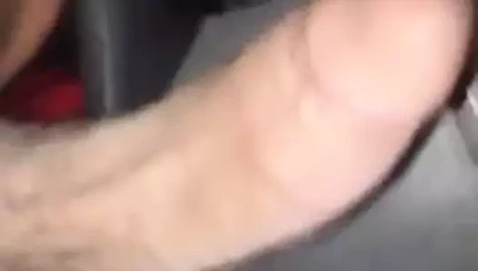 Büyük Fas horoz bmc