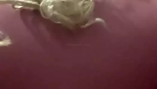 Bush kraliçesi twerk yapıyor.