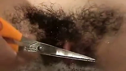 Büyük çalı yıkımı