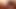 Srella Gorda Eactepec como se abre y muestra su panocha RIca