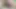 Yeni Bagan ateşli videolar sosyal garal