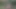 Ormanda Bir Yoldan Geçen Tarafından Sevişiyor!