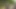 Halka açık mastürbasyon - kız götüne tıkaçla amına dokunuyor ve sokakta işiyor