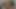 Genç kız esmer amında dildo seviyor sonra güzel sert bir yarak