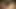 Baştan çıkarıcı orta yaşlı seksi kadın lezbiyenler patlayıcı orgazm için ıslak amcıklarını parmaklıyor
