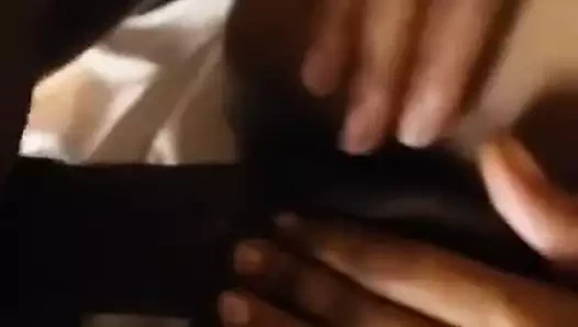 Yakın çekim - abanoz kıllı KEDİ alma rammed