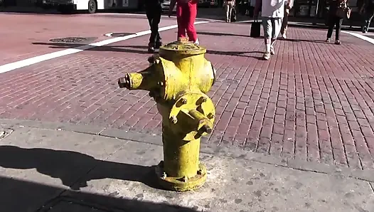 Gerçek bdsm lezbo çift seanslarını gösteriyor