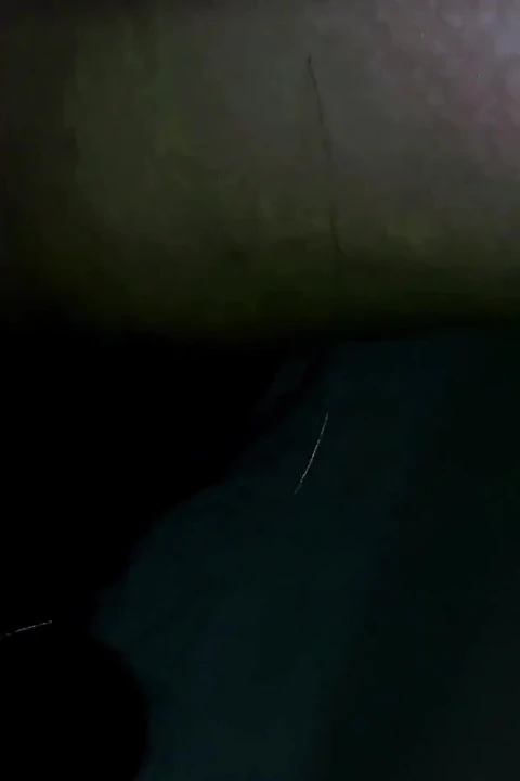 Gece çöküşü azgın an anippe hayranından gelen birini bekliyorum