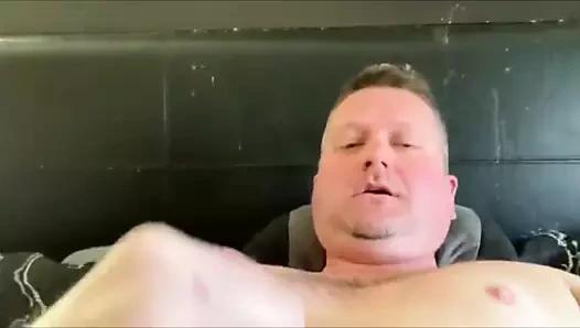 sarışın ayı gücü