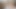 Ragingstallion - sakallı damızlık creampies muhteşem kas çocuk