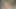 Seksi minyon Capri Anderson o kadar mutlu ki hepinizi kendi kendine yaşatıyor!