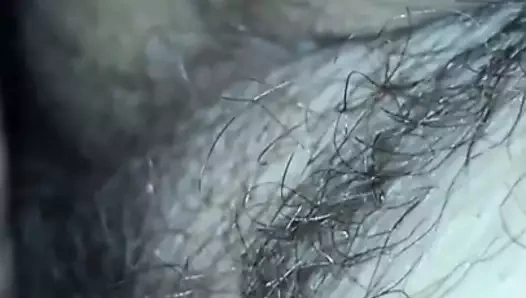 Krem pasta üzerinde benim kızlar kıllı kedi