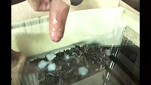 Yaraklı kadınlar vol.2 - bölüm 11