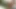 Esmer kadın yarak emiyor ve sonra sert sikişiyor
