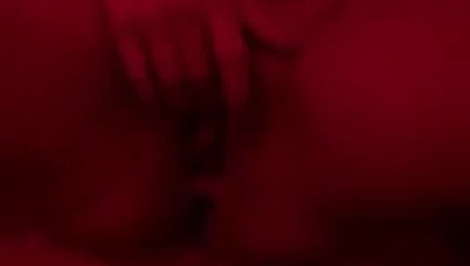 melina ile bir gece - türkiye 2015