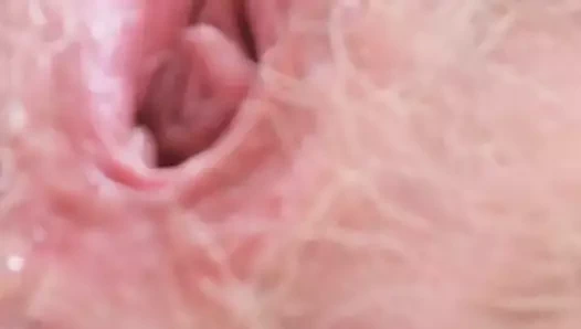 Sıcak ıslak kıllı kedi