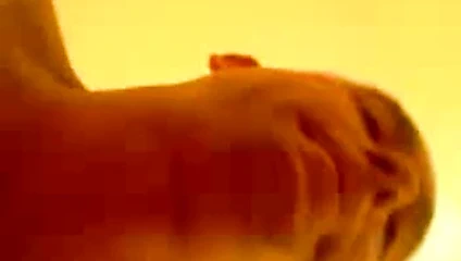 özlenenlerle oynamak