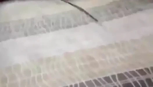 lanet gösteri arkadaşlar