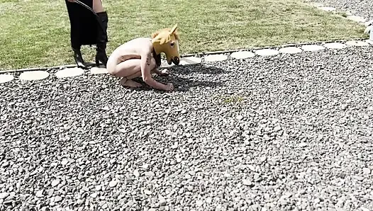 Midilli kız kırbaçlanıyor, sağılıyor ve sert yaralanıyor - aşırı lezbiyen midilli eğitimi
