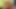 Travesti Mariana Lins dildosunu götüne sokuyor