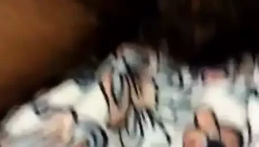 nine kedi gerekli gevşeme