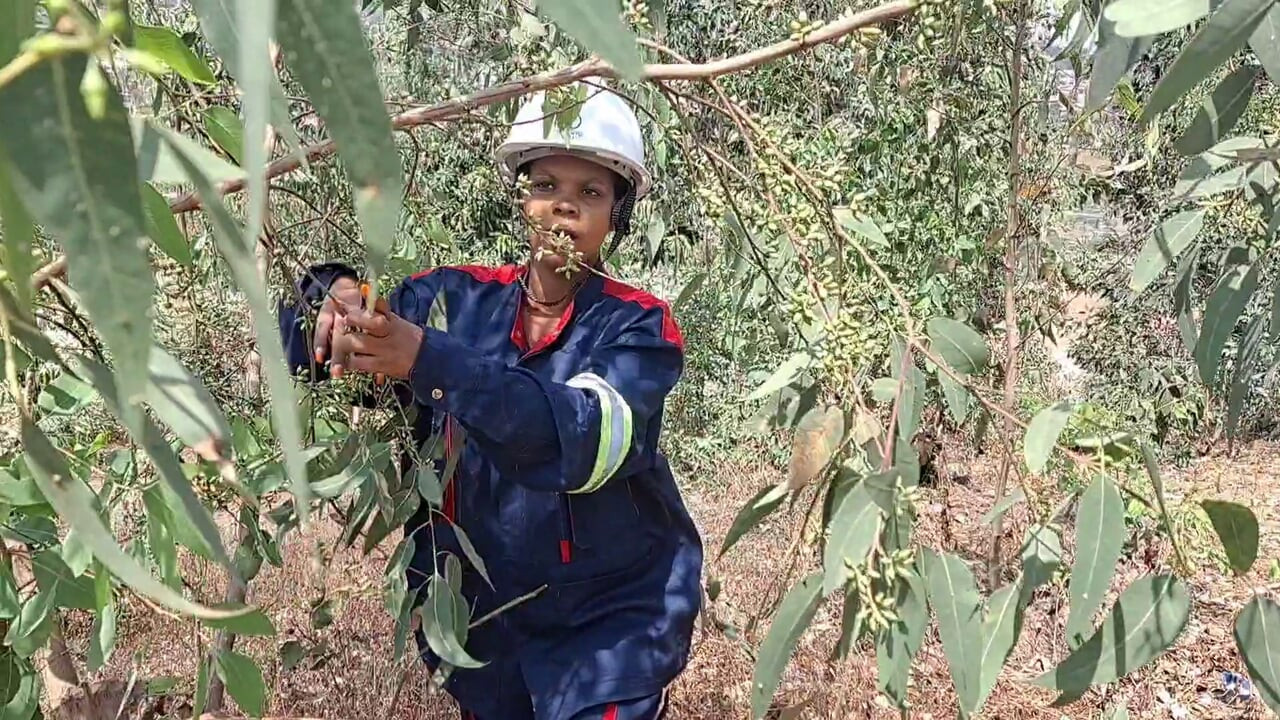 CO WOKER ÇALıLıKTA KENDINI PARMAKMAYA GITTIĞI IŞTEN KAÇıYOR