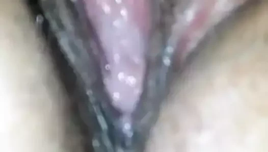 KEDİ yalamak