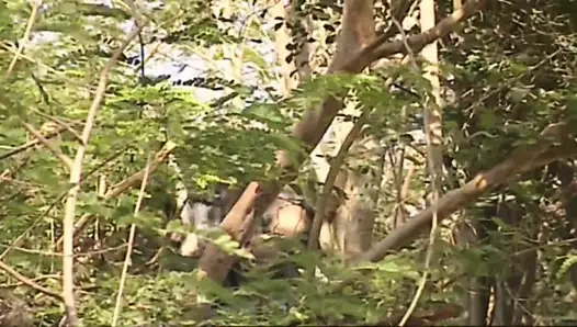 Özel film 24: ok ucu (1995)